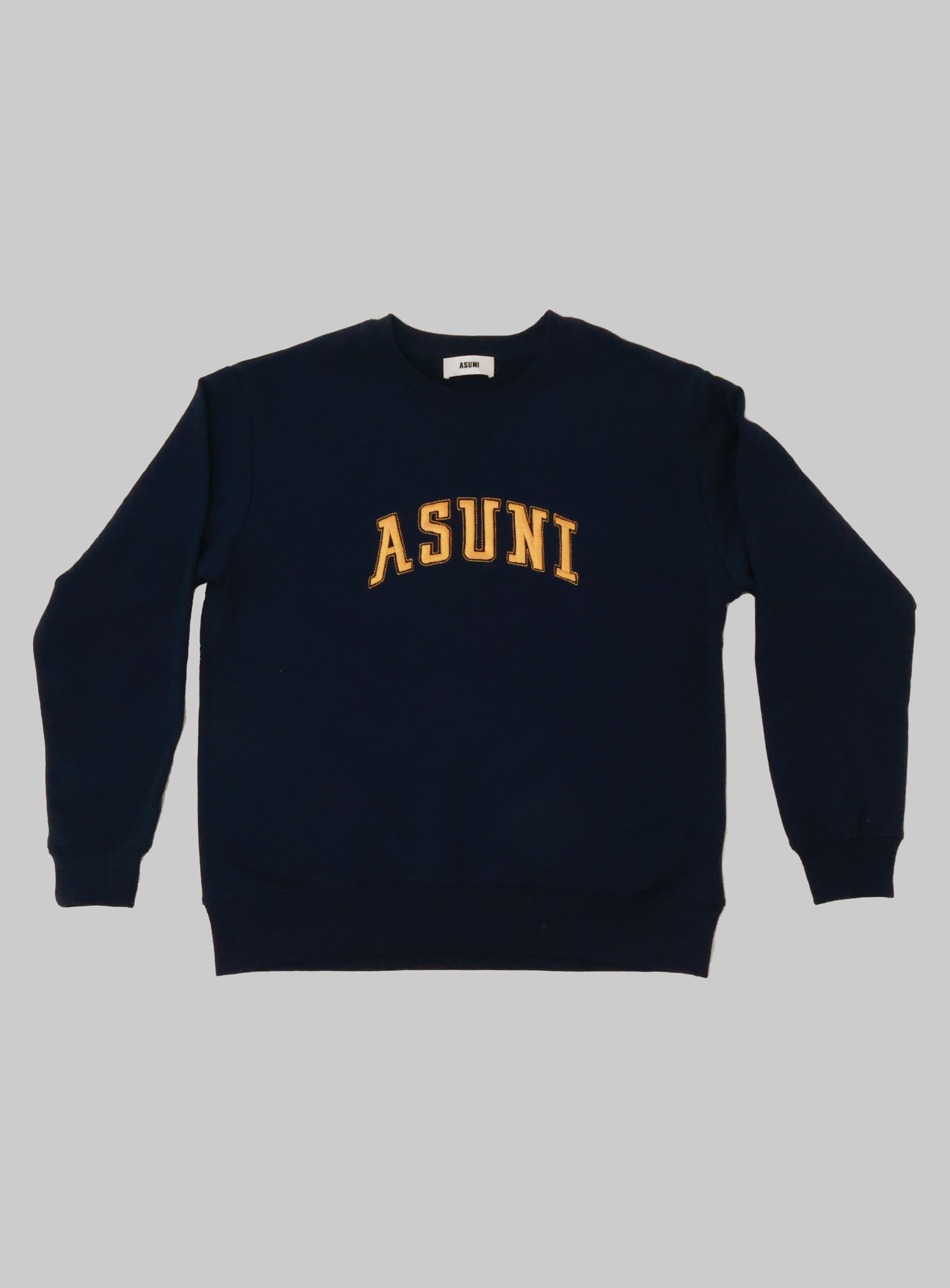 Flocked ASUNI Sweatshirt In Blue